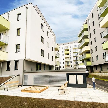Green & Cozy Apartment - 15 Min To City Center Wien Eksteriør billede